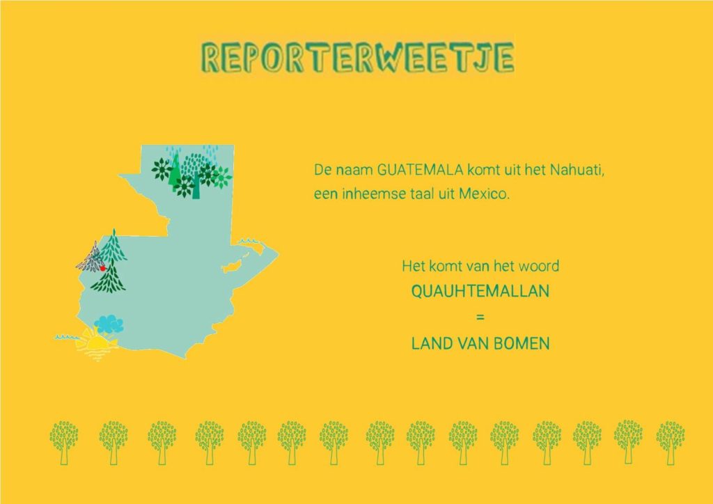 land van bomen